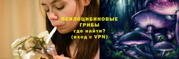 дживик Каменногорск