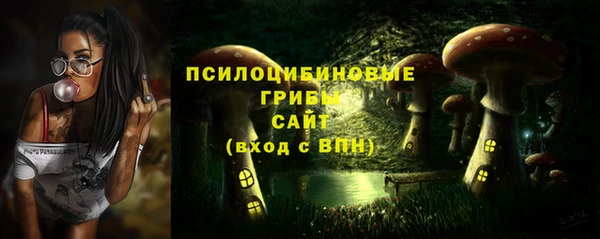 дживик Каменногорск