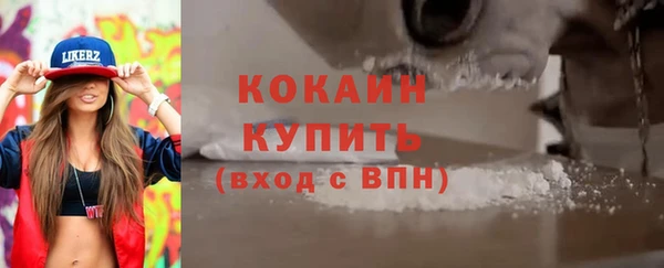 тгк Каменка