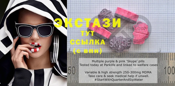 тгк Каменка