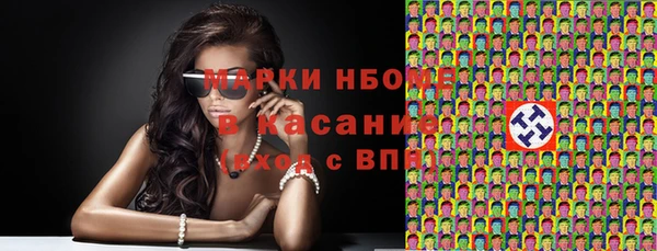 тгк Каменка