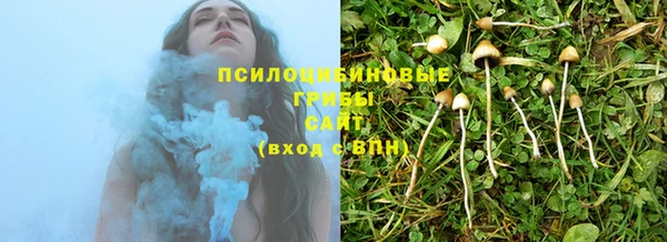 тгк Каменка