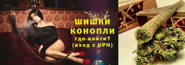 дживик Каменногорск