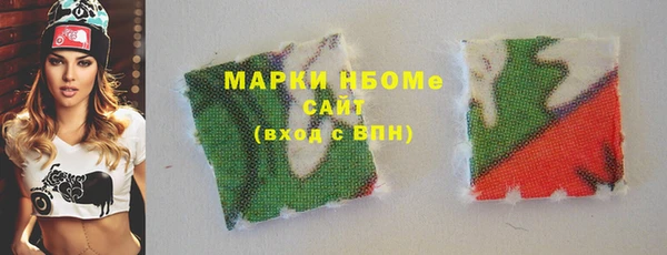 тгк Каменка