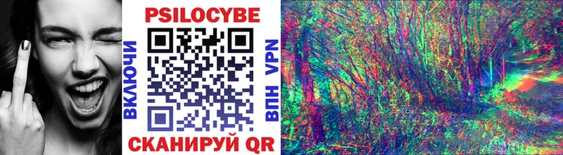 Галлюциногенные грибы Cubensis  Купить закладки  Елабуга 